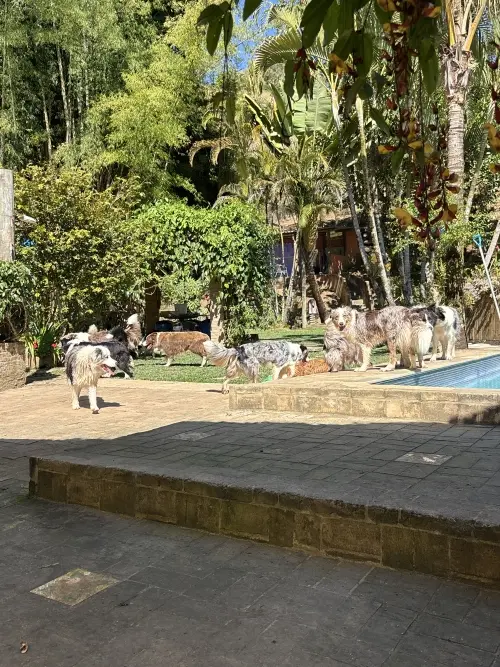 Hospedagem
