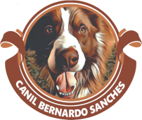 Canil Bernardo Sanches